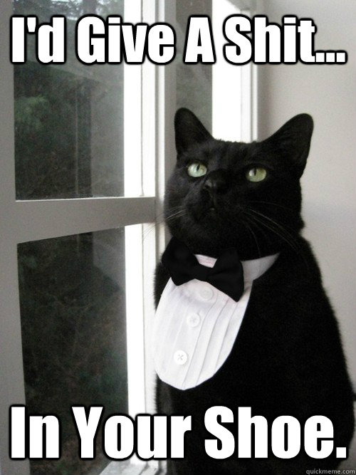 I'd Give A Shit... In Your Shoe.  One Percent Cat