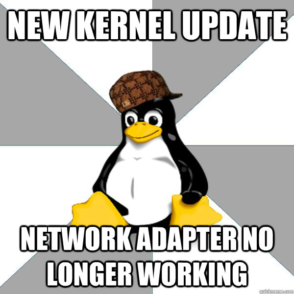 NEW KERNEL Update Network adapter no longer working  Scumbag Linux