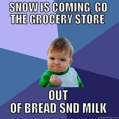 SNOW IS COMING, GO THE GROCERY STORE  OUT OF BREAD SND MILK Success Kid