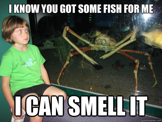 I know you got some fish for me i can smell it  wildly inappropriate crab