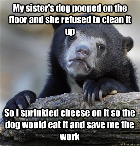 My sister's dog pooped on the floor and she refused to clean it up So I sprinkled cheese on it so the dog would eat it and save me the work  Confession Bear