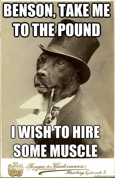 benson, take me to the pound i wish to hire some muscle  Old Money Dog