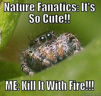 NATURE FANATICS: IT'S SO CUTE!! ME: KILL IT WITH FIRE!!! Misunderstood Spider
