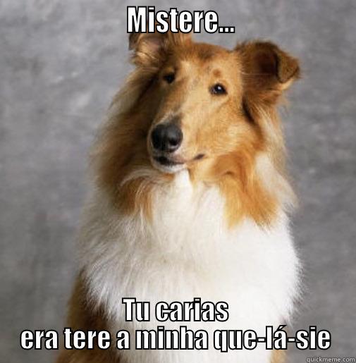                      MISTERE...                    TU CARIAS ERA TERE A MINHA QUE-LÁ-SIE Misc
