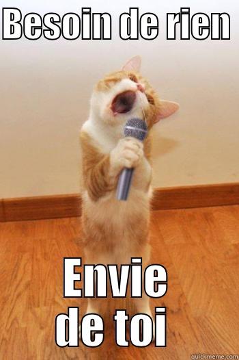 BESOIN DE RIEN  ENVIE DE TOI  Misc
