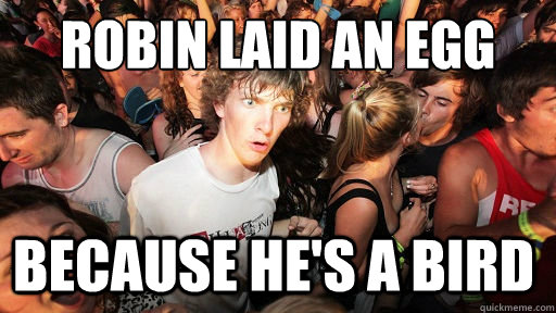 robin laid an egg because he's a bird  Sudden Clarity Clarence