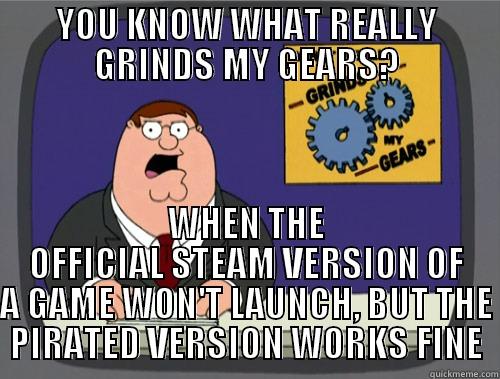 Cod Ghosts and Borderlands  - YOU KNOW WHAT REALLY GRINDS MY GEARS? WHEN THE OFFICIAL STEAM VERSION OF A GAME WON'T LAUNCH, BUT THE PIRATED VERSION WORKS FINE Grinds my gears