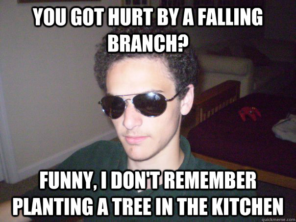 You got hurt by a falling branch? Funny, I don't remember planting a tree in the kitchen  