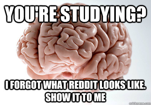 YOU'RE STUDYING? I FORGOT WHAT REDDIT LOOKS LIKE. SHOW IT TO ME   Scumbag Brain