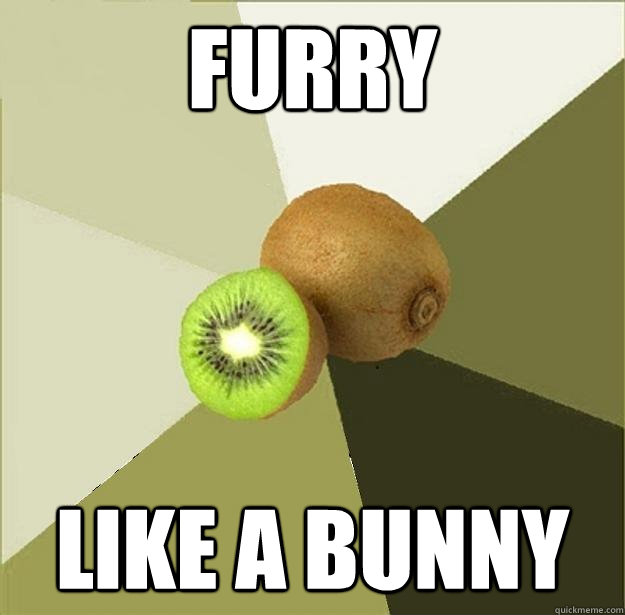 FURRY LIKE A BUNNY - FURRY LIKE A BUNNY  Unclear Meme Kiwi