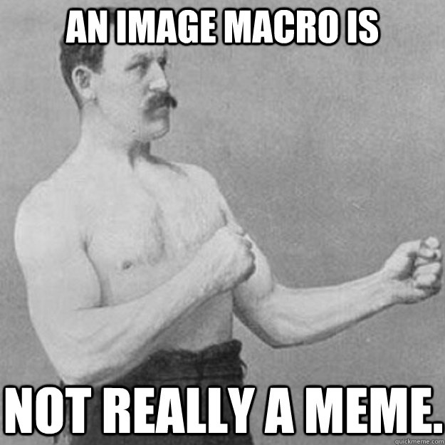 An image macro is  not REALLY a meme.  overly manly man
