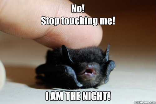 No! 
Stop touching me! I AM THE NIGHT! - No! 
Stop touching me! I AM THE NIGHT!  Baby Bat