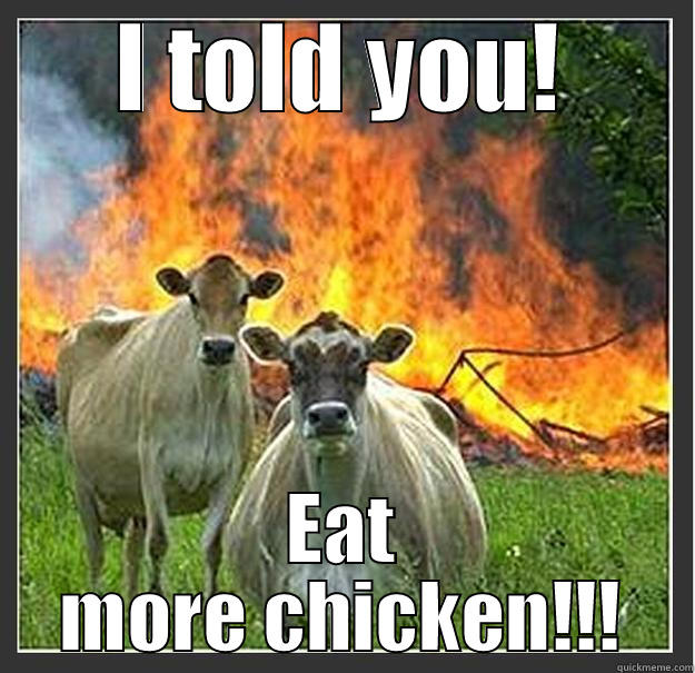 I TOLD YOU! EAT MORE CHICKEN!!! Evil cows