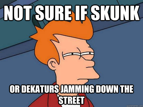Not sure if skunk  Or Dekaturs jamming down the street  Futurama Fry