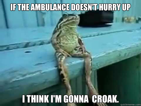 If the Ambulance doesn't hurry up I think I'm gonna  croak.  - If the Ambulance doesn't hurry up I think I'm gonna  croak.   SITTING FROG