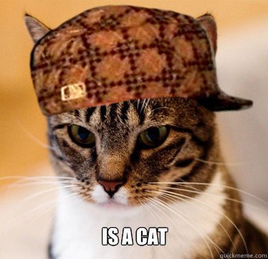  Is a cat  Scumbag Cat