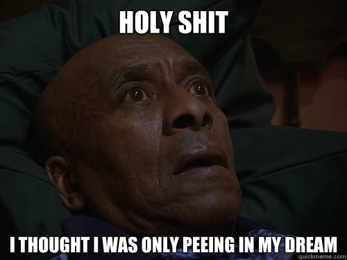 Holy Shit I thought I was only peeing in my dream  Bedtime Realizations