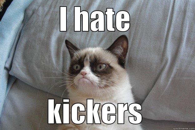 hate kicker - I HATE KICKERS Grumpy Cat