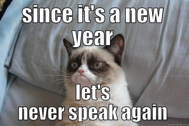 New Year - SINCE IT'S A NEW YEAR LET'S NEVER SPEAK AGAIN Grumpy Cat
