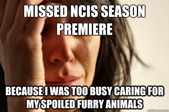 MISSED NCIS SEASON PREMIERE BECAUSE I WAS TOO BUSY CARING FOR MY SPOILED FURRY ANIMALS  First World Problems