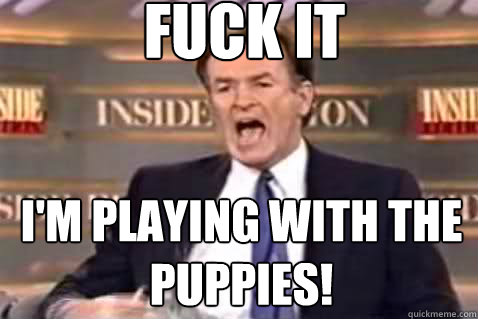 fuck it I'm playing with the puppies!  Fuck It Bill OReilly