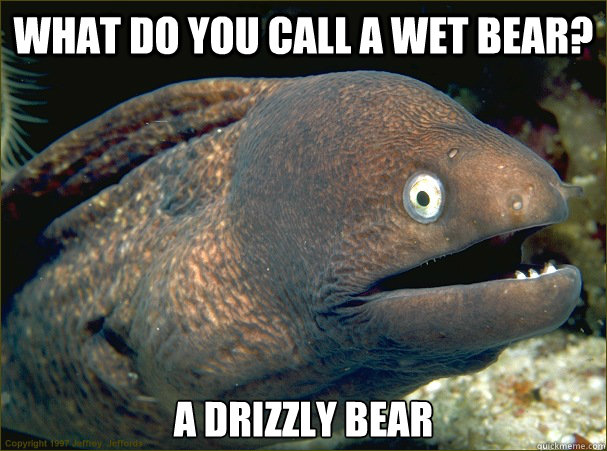 What do you call a wet bear? A drizzly bear  Bad Joke Eel