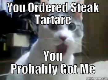 YOU ORDERED STEAK TARTARE YOU PROBABLY GOT ME Misc