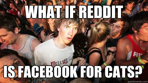 What if reddit is facebook for cats?  Sudden Clarity Clarence