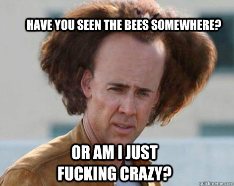 have you seen the bees somewhere? Or am I just fucking crazy?  Crazy Nicolas Cage