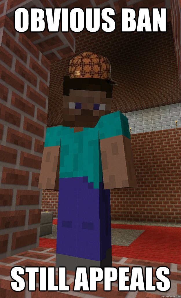 Obvious Ban Still Appeals  Scumbag Steve Minecraft