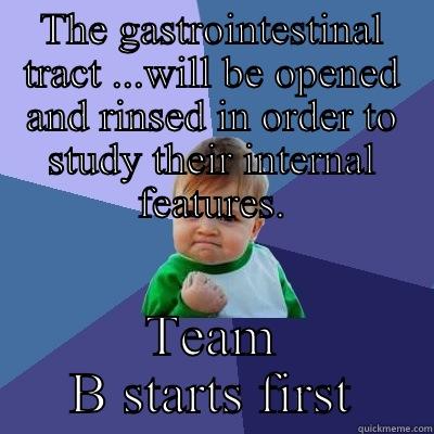 THE GASTROINTESTINAL TRACT ...WILL BE OPENED AND RINSED IN ORDER TO STUDY THEIR INTERNAL FEATURES. TEAM B STARTS FIRST Success Kid