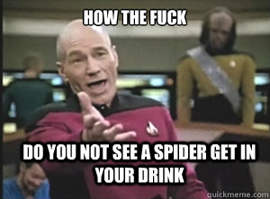 how the fuck Do you not see a spider get in your drink  Annoyed Picard