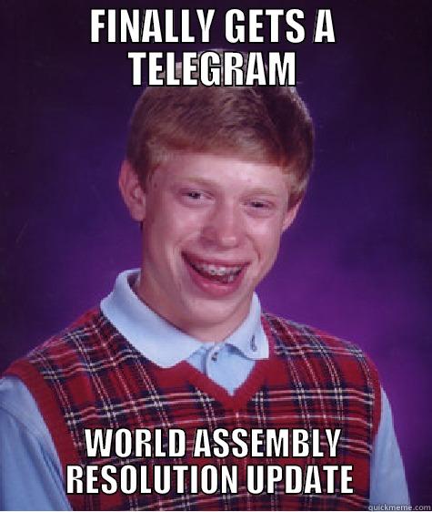 FINALLY GETS A TELEGRAM WORLD ASSEMBLY RESOLUTION UPDATE  Bad Luck Brian