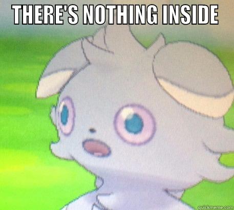 THERE'S NOTHING INSIDE  Misc