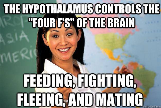 The Hypothalamus controls the 