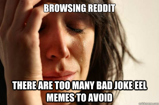 Browsing Reddit There are too many bad joke eel memes to avoid  First World Problems
