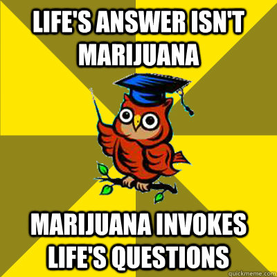 Life's answer isn't marijuana Marijuana invokes life's questions  Observational Owl