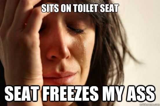 Sits on toilet seat  seat freezes my ass  First World Problems