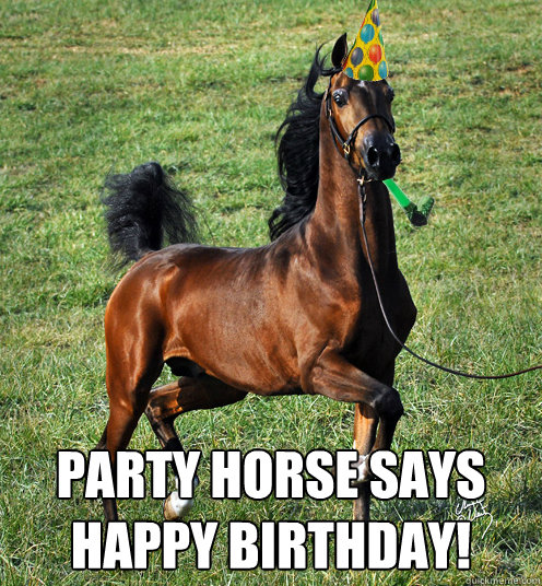 Party Horse says Happy Birthday! - Party Horse - quickmeme