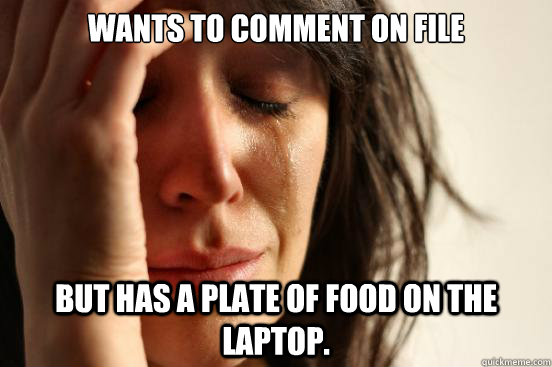 Wants to comment on file but has a plate of food on the laptop.  First World Problems