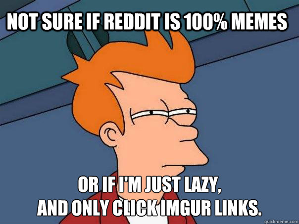 Not sure if Reddit is 100% memes or if i'm just lazy,
and only click imgur links.  Futurama Fry