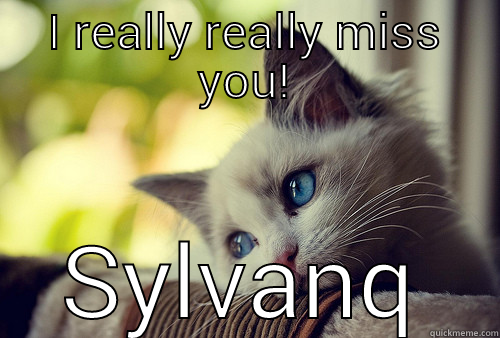I REALLY REALLY MISS YOU! SYLVANA First World Problems Cat