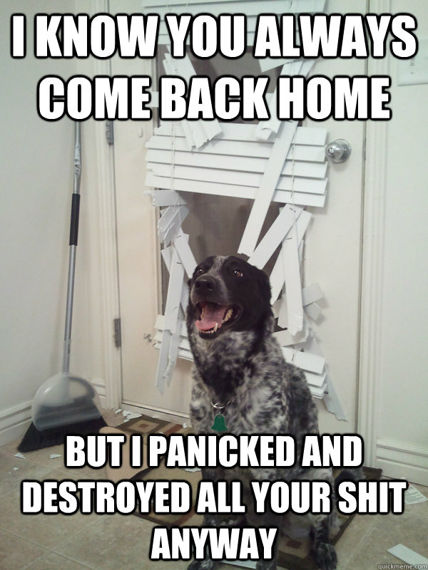 I know you always come back home But I panicked and destroyed all your shit anyway  