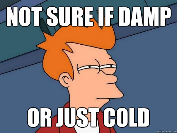 Not sure if damp or just cold  Futurama Fry