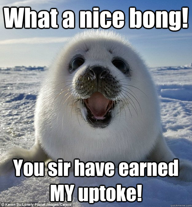 What a nice bong! You sir have earned MY uptoke! - What a nice bong! You sir have earned MY uptoke!  Easily Pleased Seal