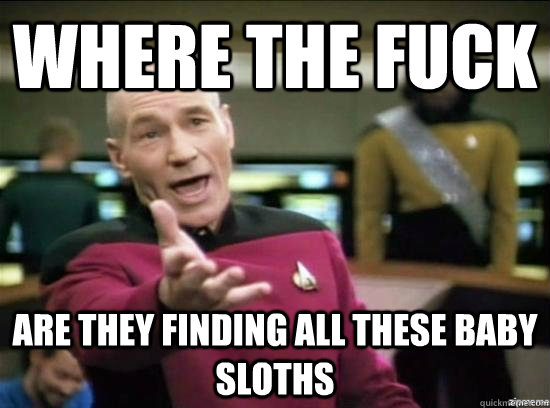 Where the fuck are they finding all these baby sloths  Annoyed Picard HD
