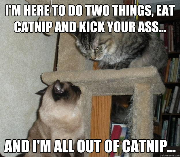 I'm here to do two things, eat catnip and kick your ass... And I'm all out of catnip...  Battle Cats
