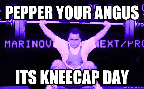 Pepper your angus Its kneecap day - Pepper your angus Its kneecap day  Kneecap Day