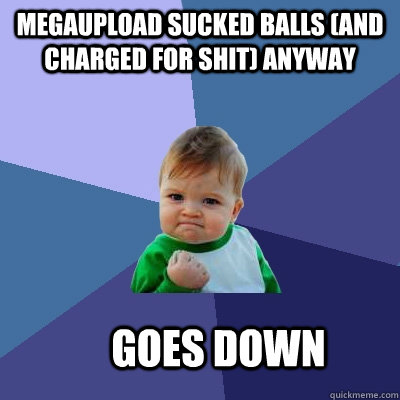 megaupload sucked balls (and charged for shit) anyway goes down  Success Kid