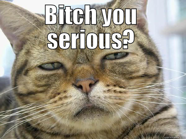 BITCH YOU SERIOUS?  Misc